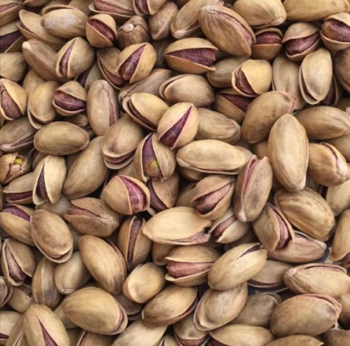 Antep Fıstığı